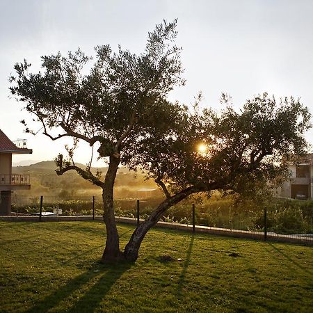 Villa Casas De Vale De Lobo Mirandela Esterno foto