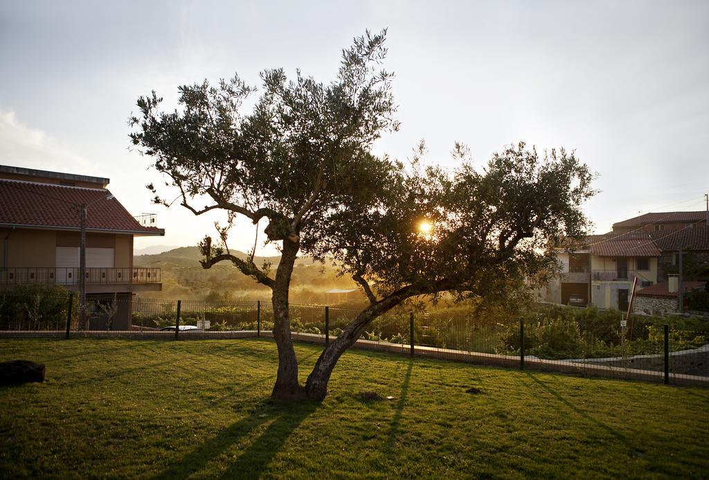 Villa Casas De Vale De Lobo Mirandela Esterno foto